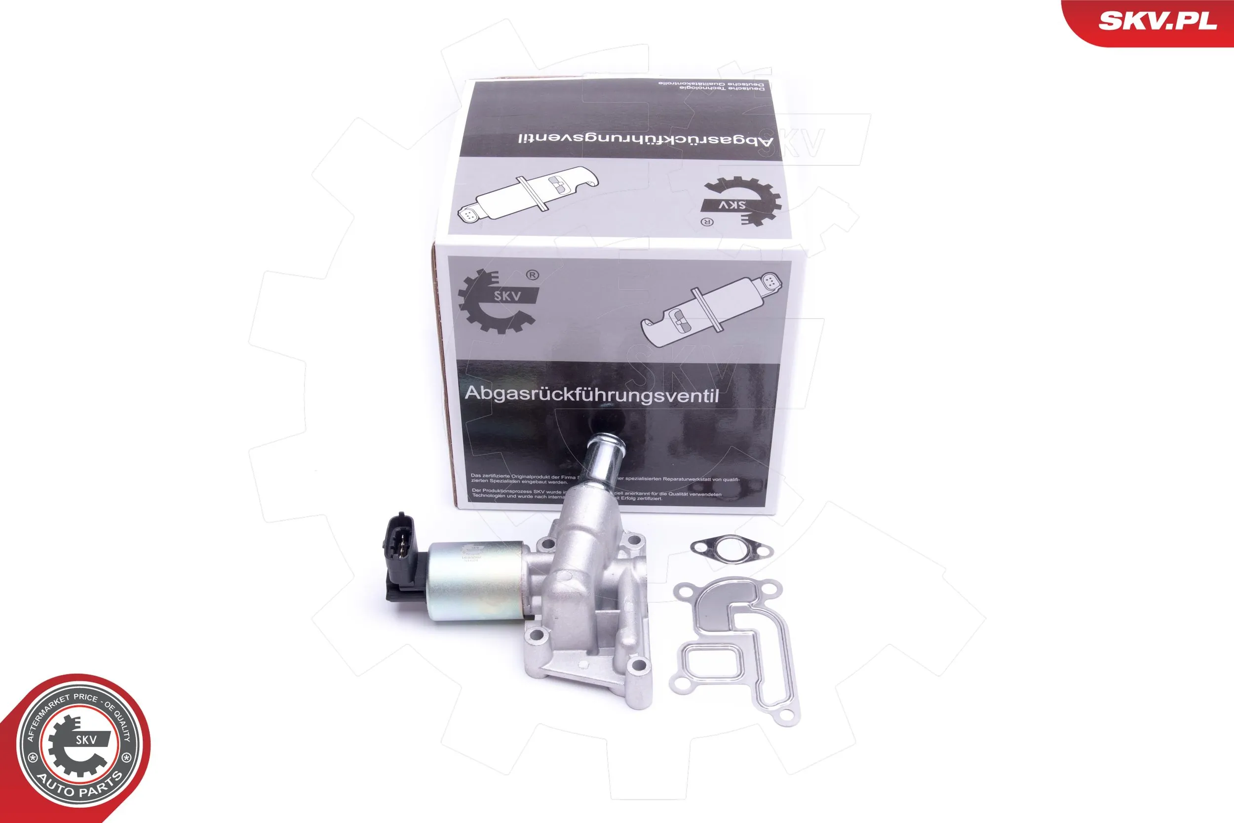 EGR Valve